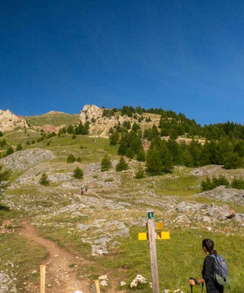 randonnée dans les alpes du sud au pic du morgon