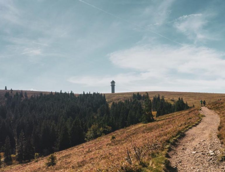 road-trip-europe-en-van-foret-noire-feldberg-allemagne