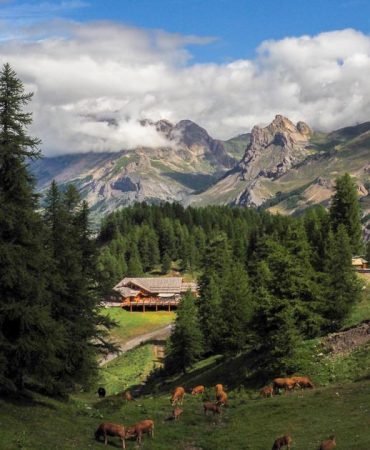 road-trip-france-en-van-camping-car-parc-des-ecrins-hautes-alpes