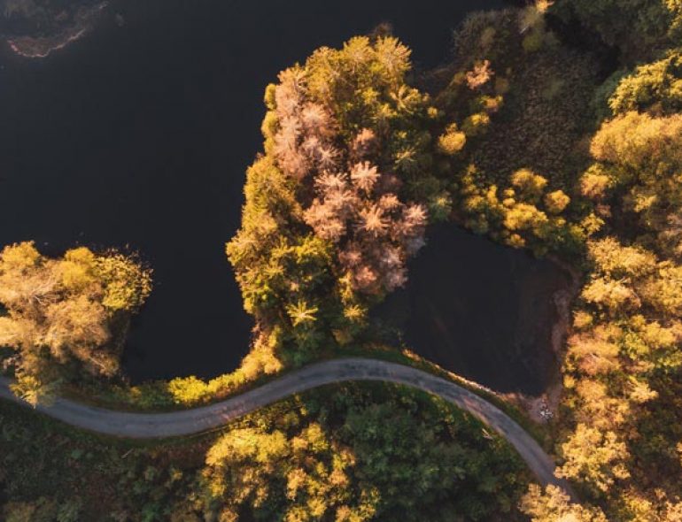 road-trip-france-en-van-plateau-1000-etangs-haute-saone